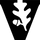 vanderbilt-university-logo_edited_edited