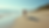 Eye-level view of a sandy beach with a dog running along the shoreline