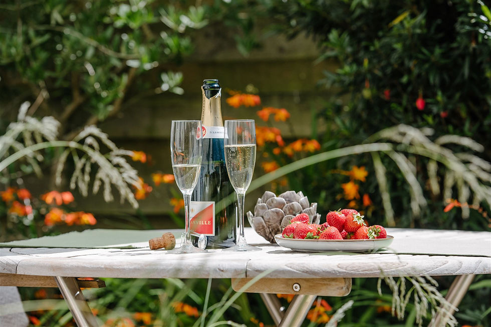 Portloe Retreat garden