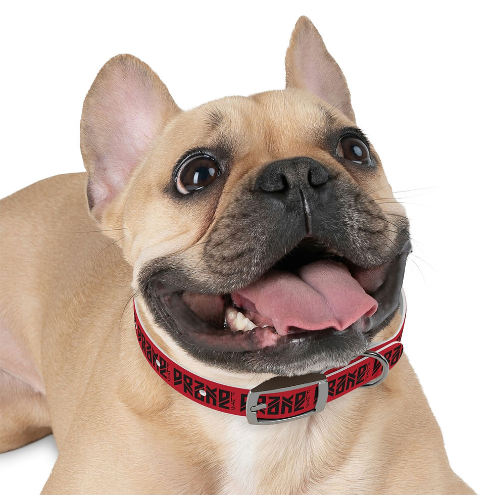 Thumbnail: LostDrake Dog Collar