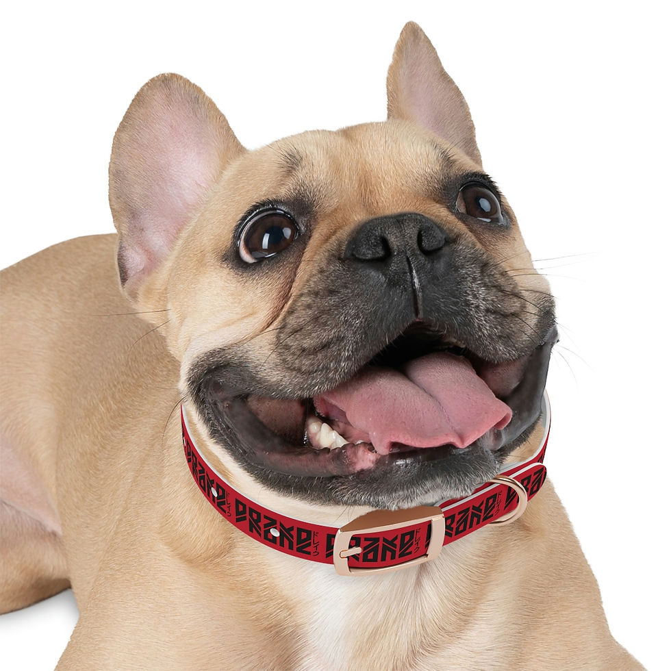 Thumbnail: LostDrake Dog Collar
