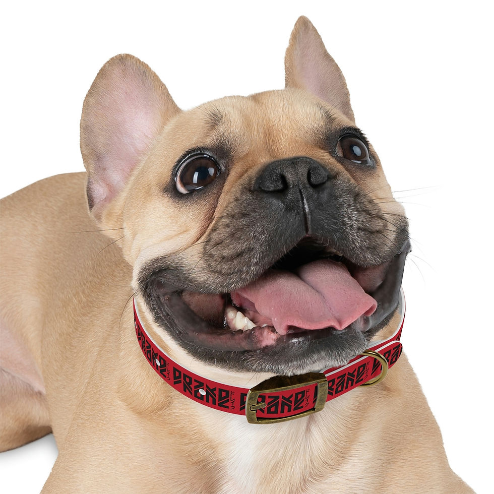 Thumbnail: LostDrake Dog Collar