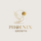 Phoenix Growth Logo with Soft Metallic Shades.jpg