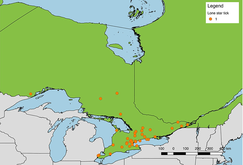 Lone star ticks submitted from Southern Ontario, 2017