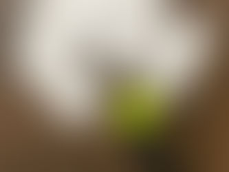 Tajuplná sklenice aneb Co se skrývá uvnitř?