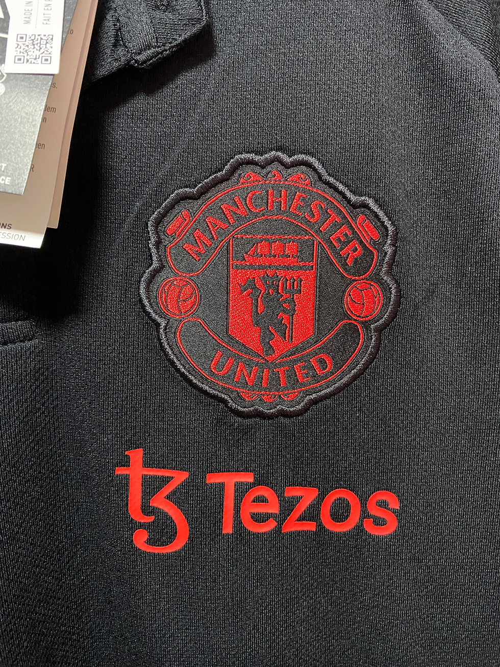 Miniatura: Camiseta Polo Manchester United 2021