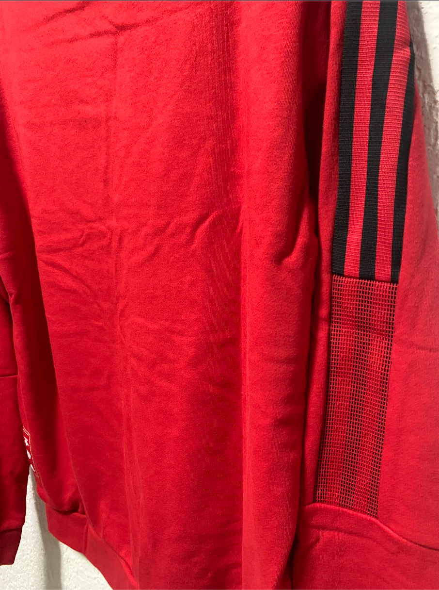 Miniatura: Buso Bayern Munich Año Nuevo Chino 2022