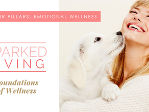 Mindset Mondays: Emotional Wellness