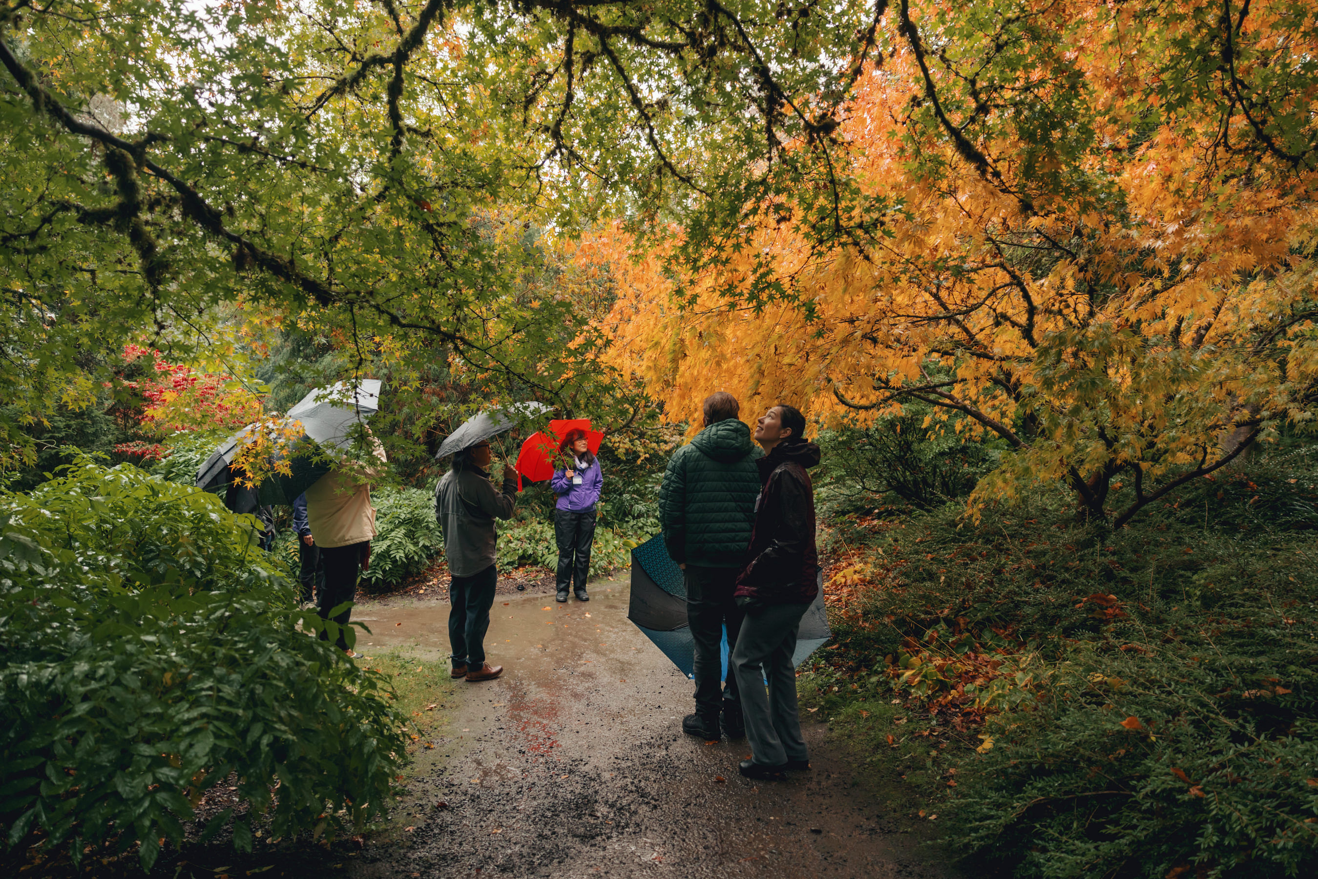 Fall Color Tour at Kubota Garden