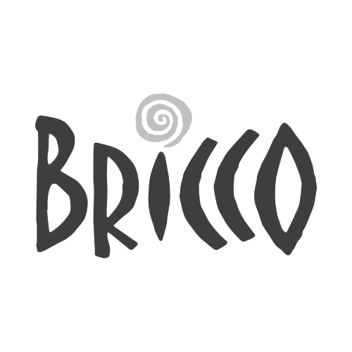 logo-customer-bricco-500x500-2_edited