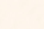 backyardbgbeige_edited.jpg