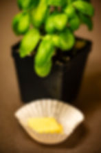 DSC_0739a