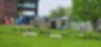 plant sale FFRG 1