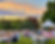 2022GP1655 copy.png