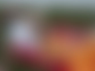 Lua de Mel no Paraíso: viva momentos inesquecíveis no Vale Aurora