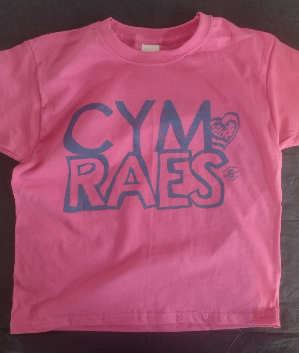 Thumbnail: Welsh T-Shirt