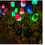Miniatura: Solar-Par de Tulipán Luz para Jardín y Céspe