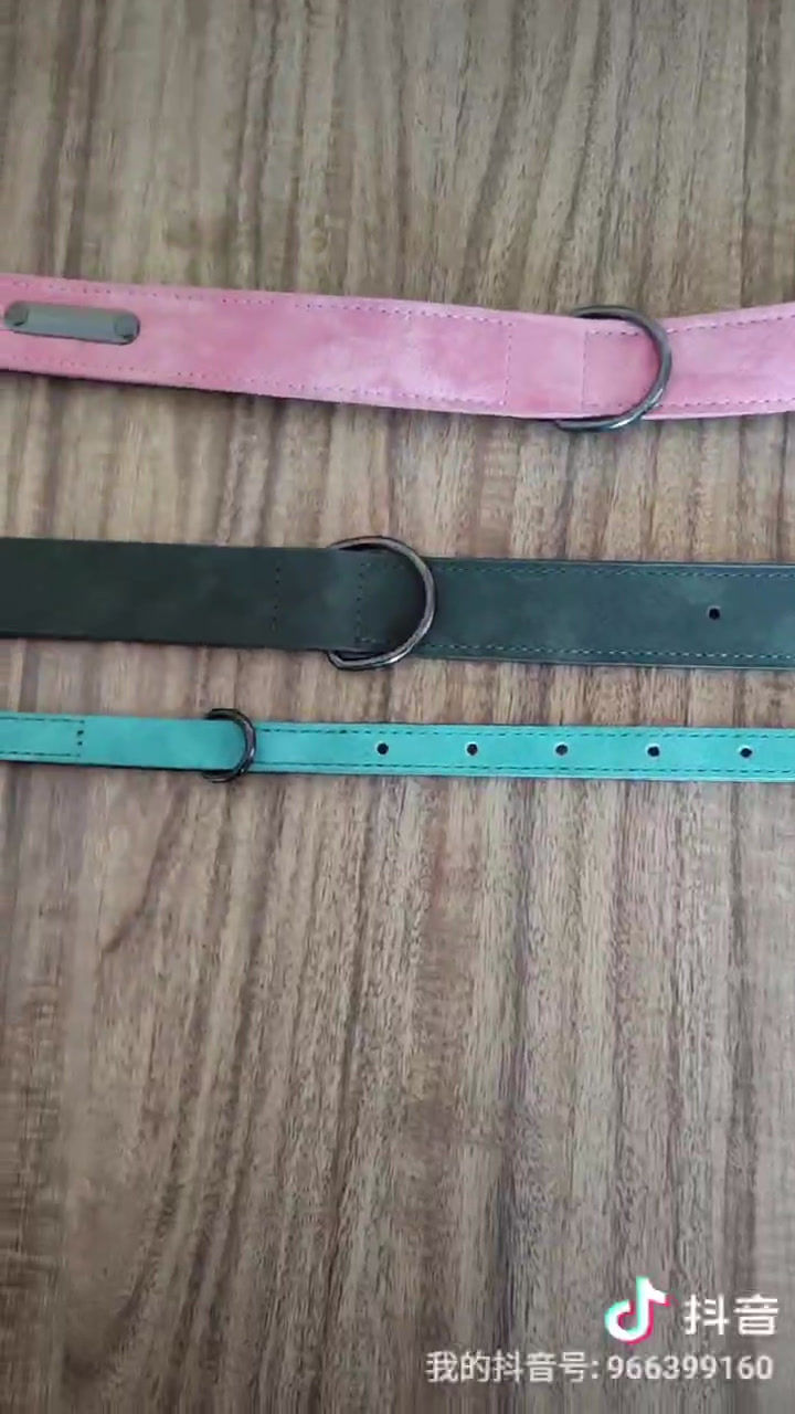 Miniatura: Collar Cuero Acolchado Para Perros + Grabado Personalizada Agregar a favoritos $