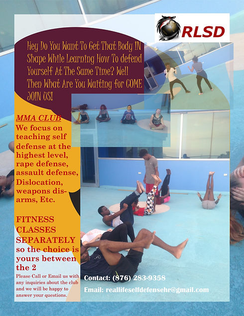 UCC UPDATED MMA Publisher Flier.jpg