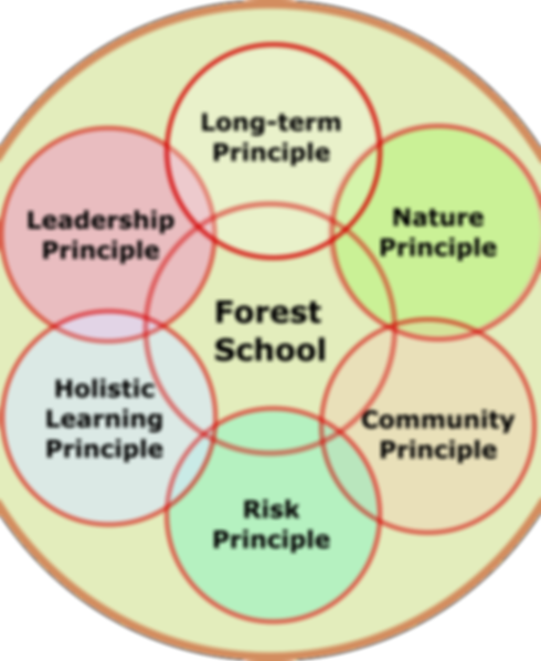 6principlesFS.png