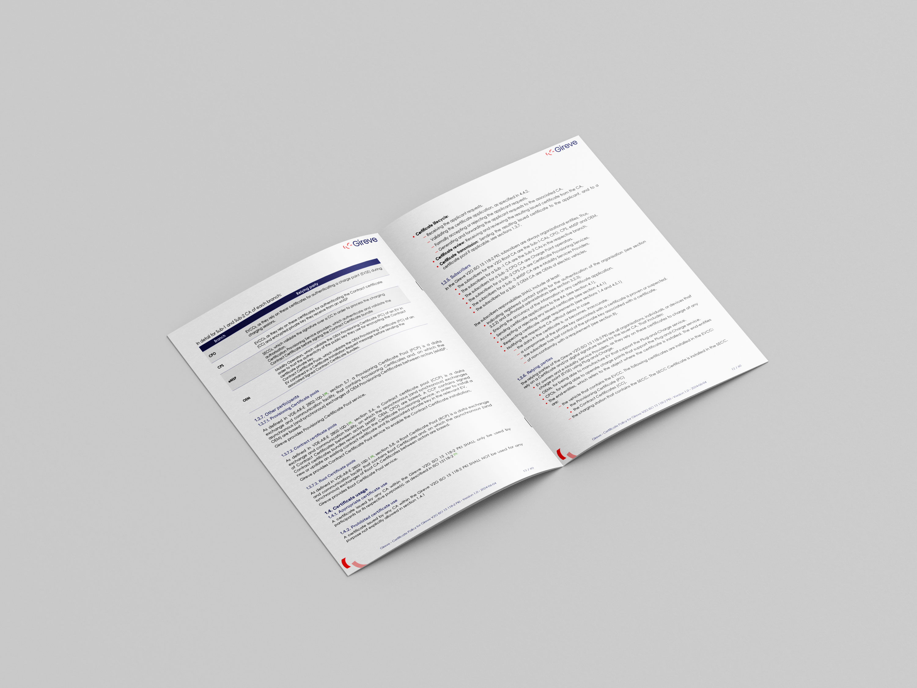 RAPPORT INSTITUTIONNEL