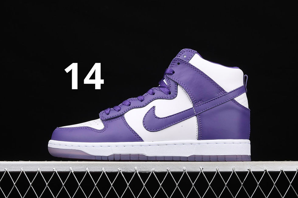תמונה ממוזערת: SB Dunk High
