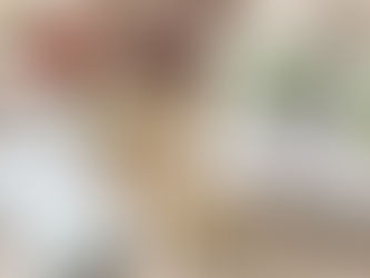 中藥名稱查詢指南｜如何透過照片與特徵辨識藥材？