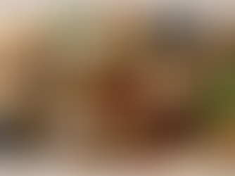 從零開始認識中藥種類|補益、清熱、解表藥材完整分類介紹與中藥材圖鑑