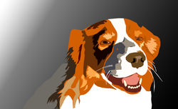 Doggy