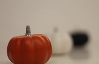 IMG_9989.jpg