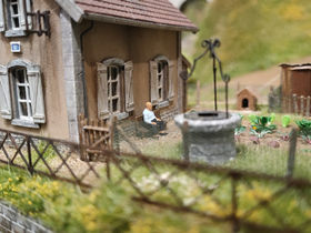 Albert se repose dans son jardin.