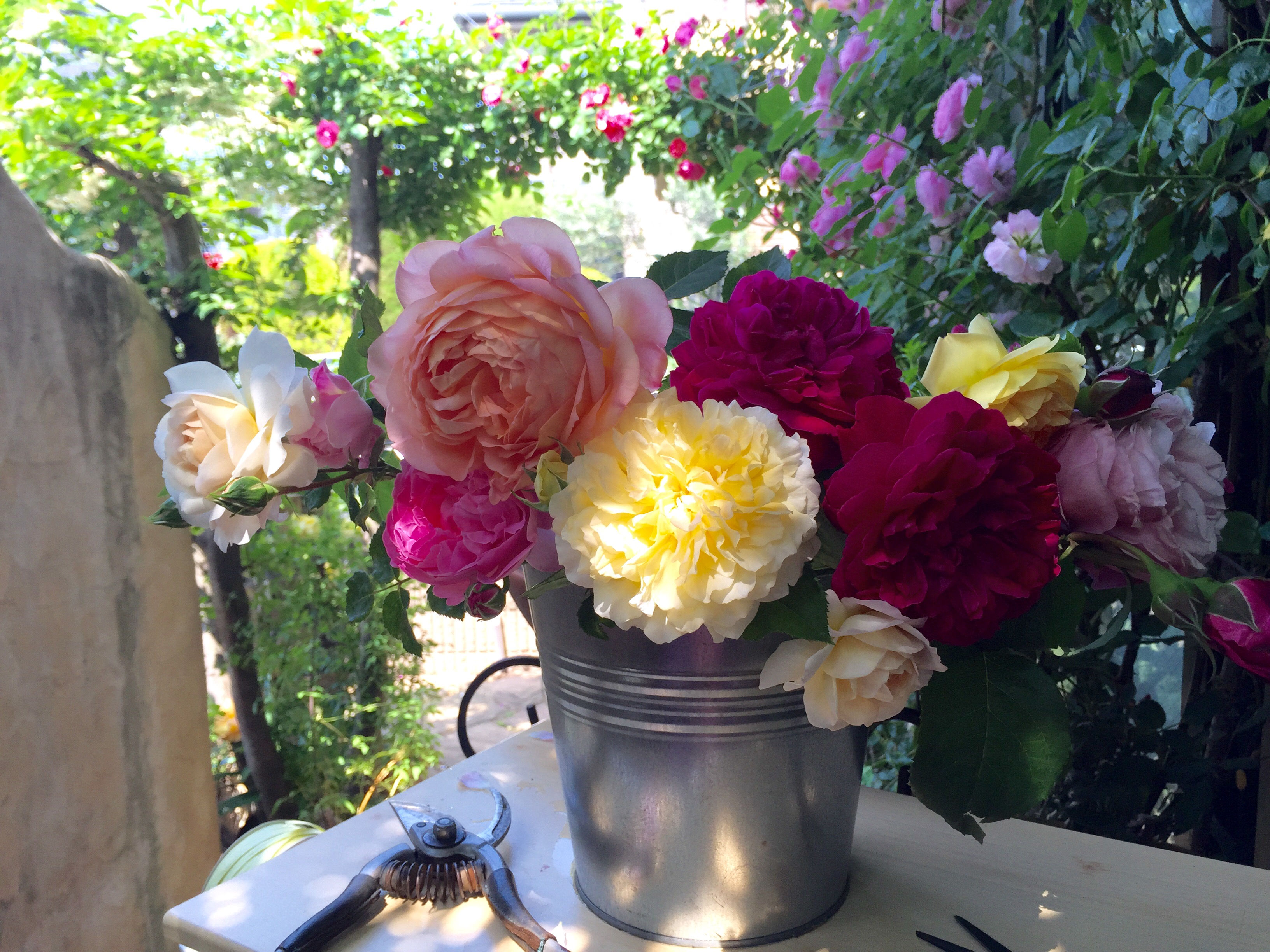 *ローズレッスン