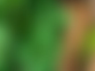 Healthy Meal Plans Inspired by Trinidad Cuisine: Fresh, Flavourful, and Nutritious