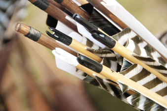 Hunting Arrows