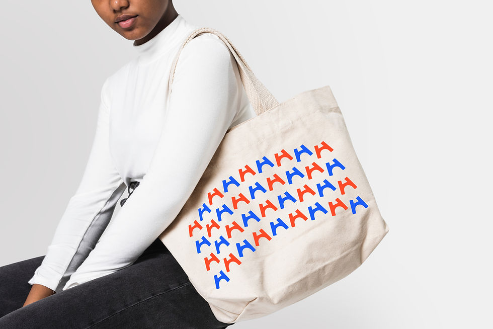 Bag.jpg