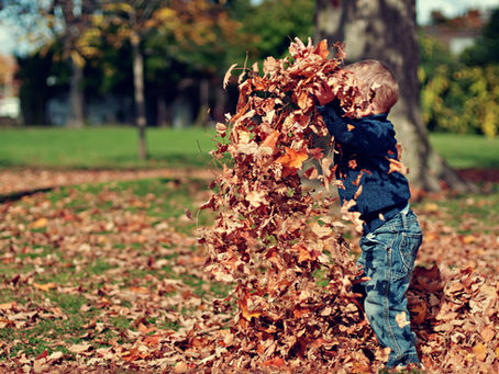 10 Fall Safety Tips to Keep Children and Parents Safe