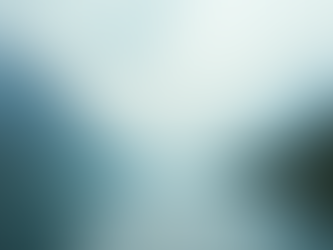 The Art of Mindful Living