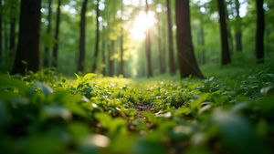 The Importance of Sustainable Living in Today's World