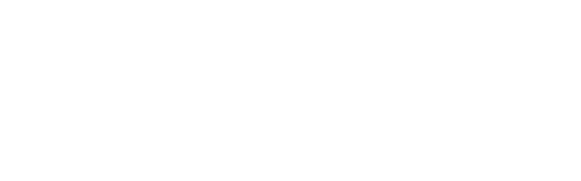 Diet Studio Li'l Fit