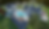IMG_8916.png