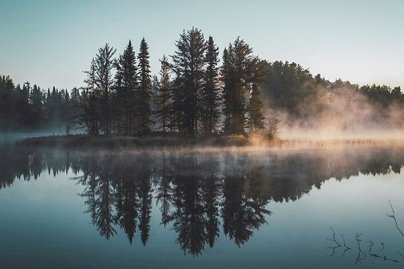 Calm reflection of trees in a lake.