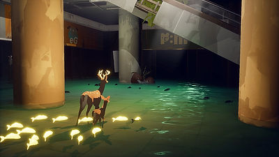 Way to the Woods Indie Game Fish Lights