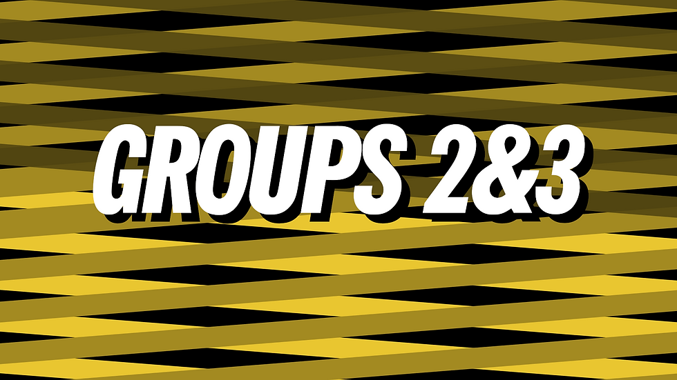 Group 2 & 3 Combined