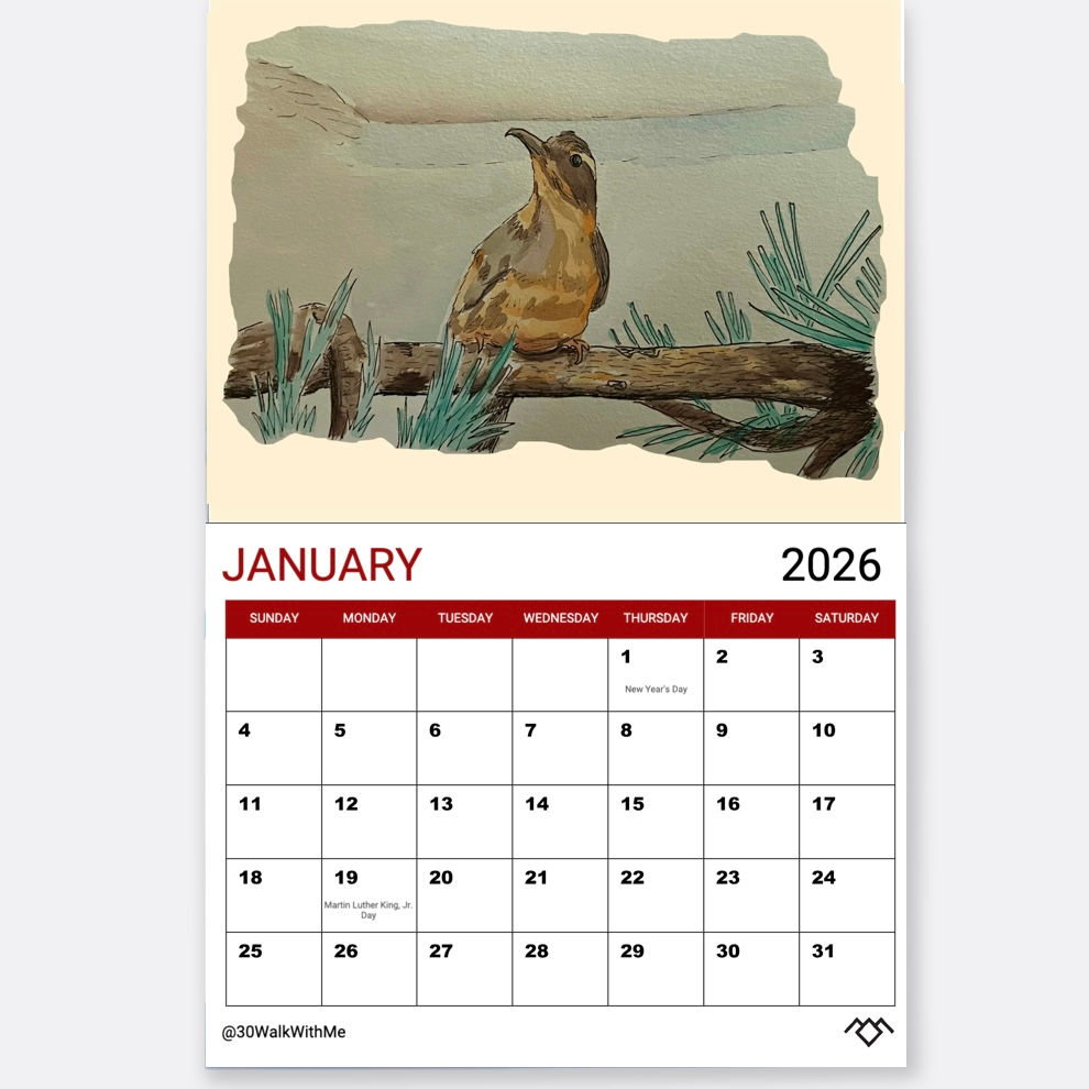 Twin Peaks 2026 Calendar