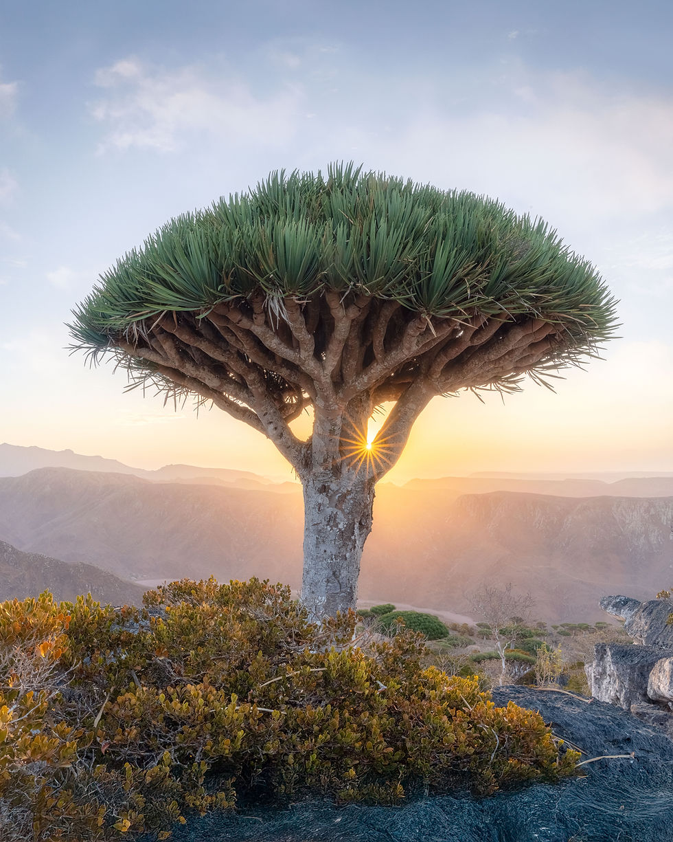 Sunrise in Deksam Plateau - Socotra