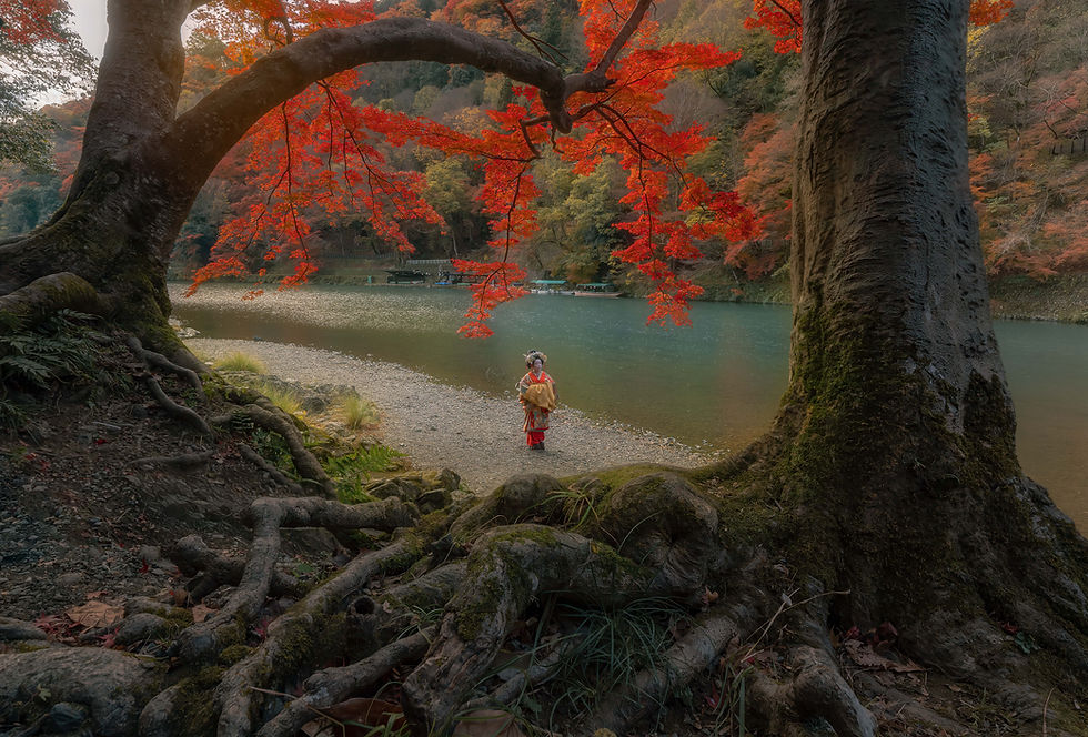 Autumn Colours of Japan