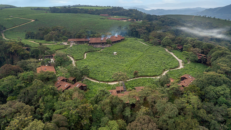 Nyungwe, Rwanda