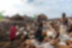 Goats are an integral part of life in Omo Valley. They are a source of food (meat and milk), clothing and also status and currency. Marriage dowries are usually calculated based on number of goats.