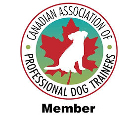 MemberLogoJPG6361b56180158.jpg