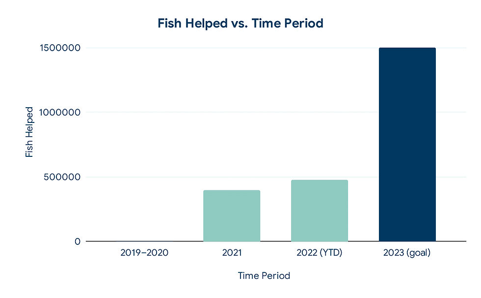 FWI’s impact over the past several years (and goal for 2023). As we’ve grown our confidence in our impact we’re planning to scale more in 2023, as illustrated by the number of fish we intend to help.